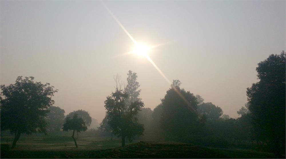 Cánh đồng xuân